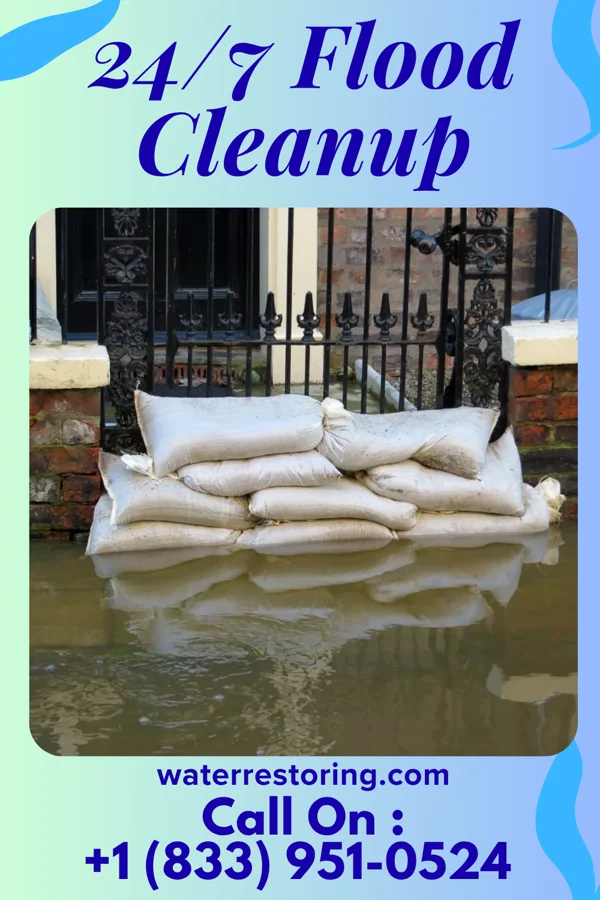 24/7 Flood Cleanup in Mentor, KY