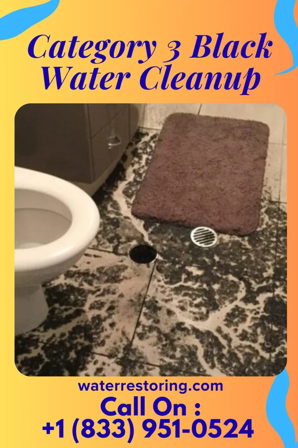 Category 3 Black Water Cleanup in Mentor, KY