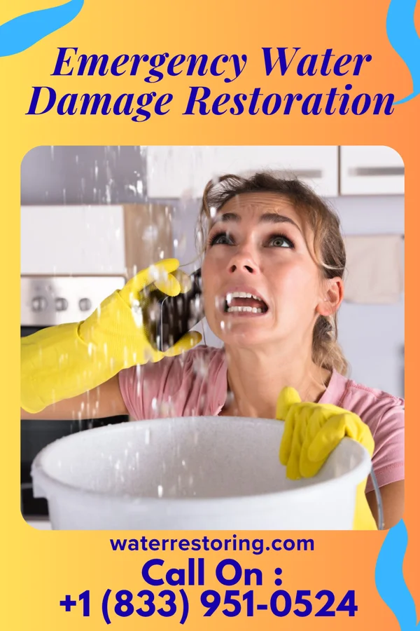 Emergency Water Damage Restoration in Mentor, KY