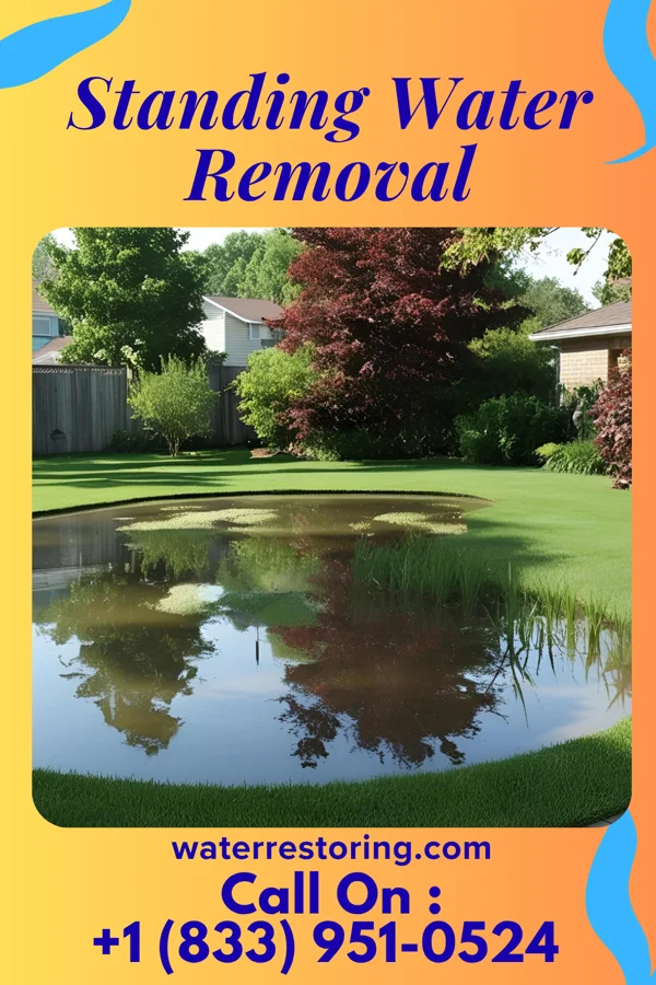 Standing Water Removal in Mentor, KY